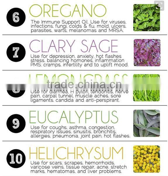 unique and cheap scented candles in pumpkin glass jar for home decoration