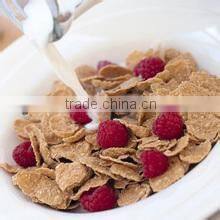 Best sale automatic low consumption stainless steel breakfast cereal corn flakes processing line