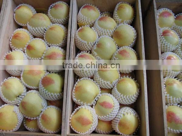 Apple plastic EPE foam net