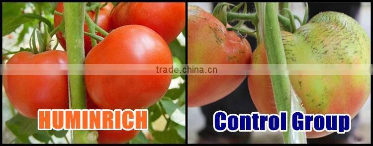 Huminrich Regulate Plant Fast-growing EDTA Mn