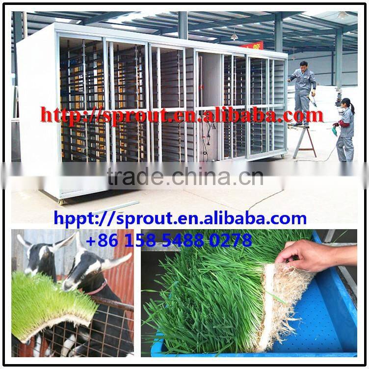 wheat/grass/bean growing machine, barley sprout machine Hydroponics Animal Fodder