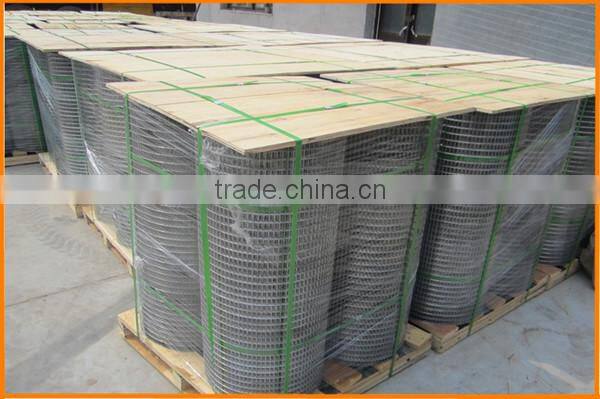 Cheap galvanized and PVC coated welded metal building wire mesh 19 gauge galvanized welded wire mesh