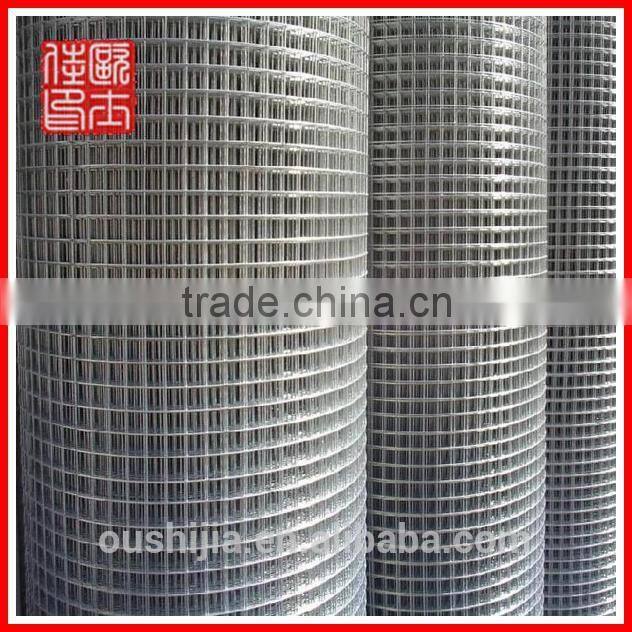 durable Galvanized Iron Wire Netting Mesh/mesh door net