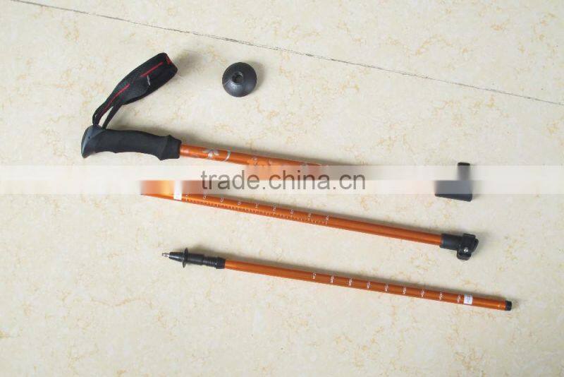 3 Section Hiking Pole