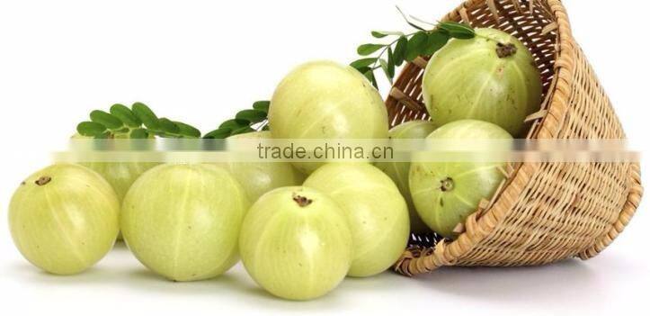 Amla oil