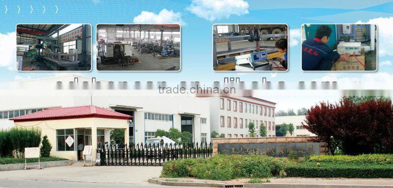 Servo Motor Plasma Steel Cutting CNC Router Machine for Metal