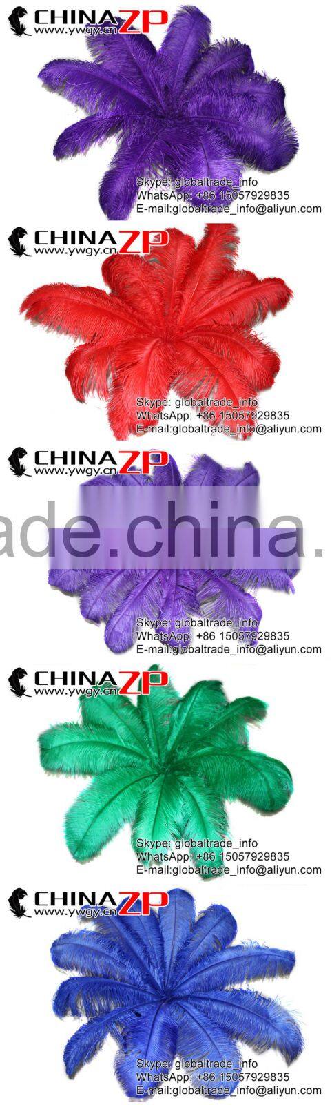 ZPDECOR No.1 Supplier in China Size From 6''-8'' Factory Exporting Popular Dyed MIx Colors Ostrich Feathers Plume for Decoration