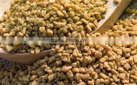 Fenugreek seeds