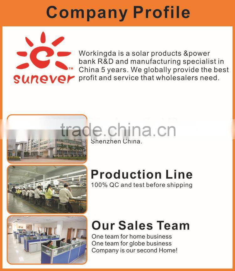 Portable and durable High capacity 12 volt power bank