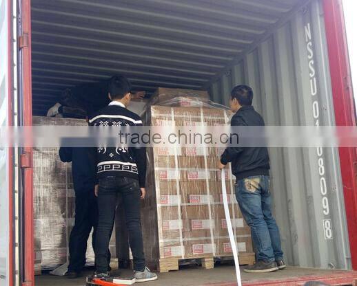 Cam button Tie Down Straps for transportation