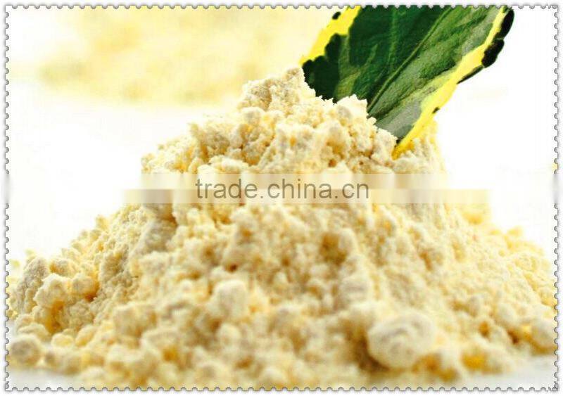 Best selling Japanese sushi hot wasabi powder