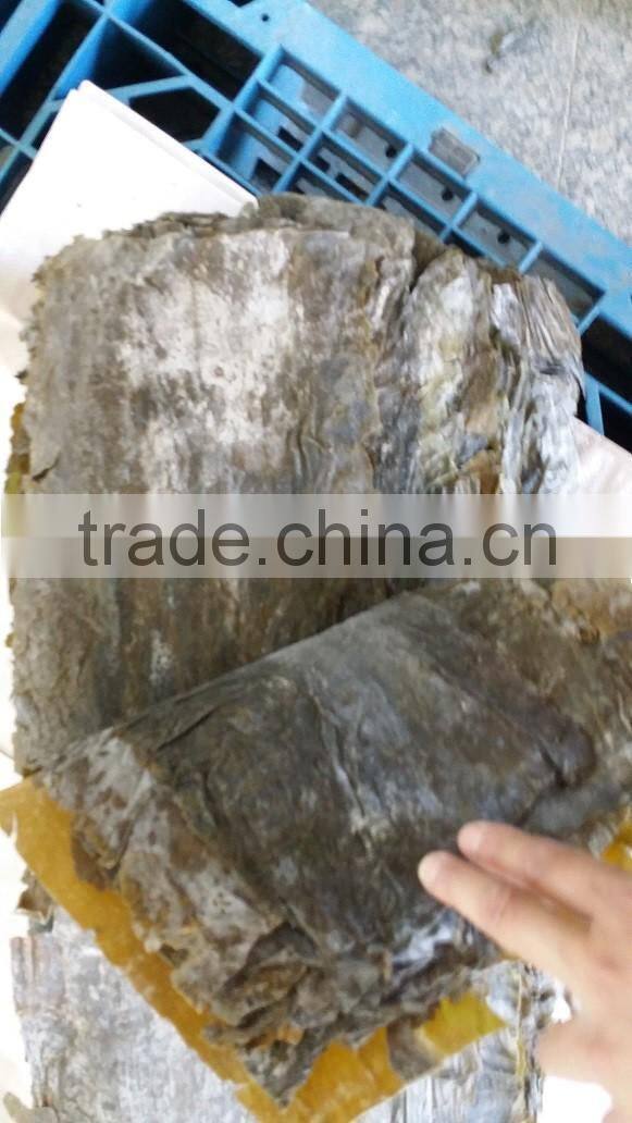 Dried kelp sheet, dried kelp board to conduct SPA treatments in beauty salons