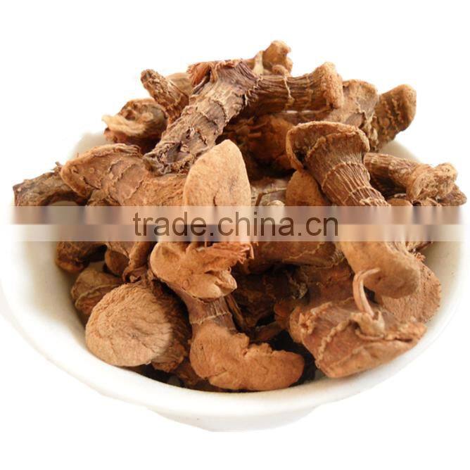 Hot toys Dried galangal best selling products in philippines
