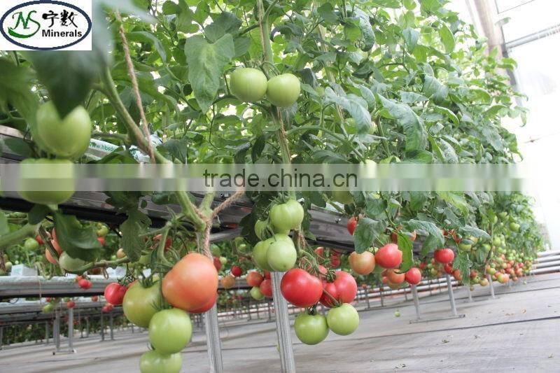 expanded perlite for seedlings, grow composts, soil conditioner