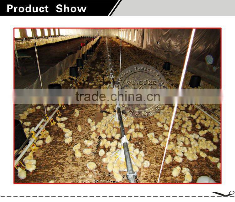 Poultry Automatic Feeding Drinking system for Chicken brolier