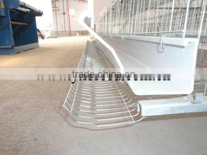 chicken cage,automatic poultry equipment,chicken layer cage