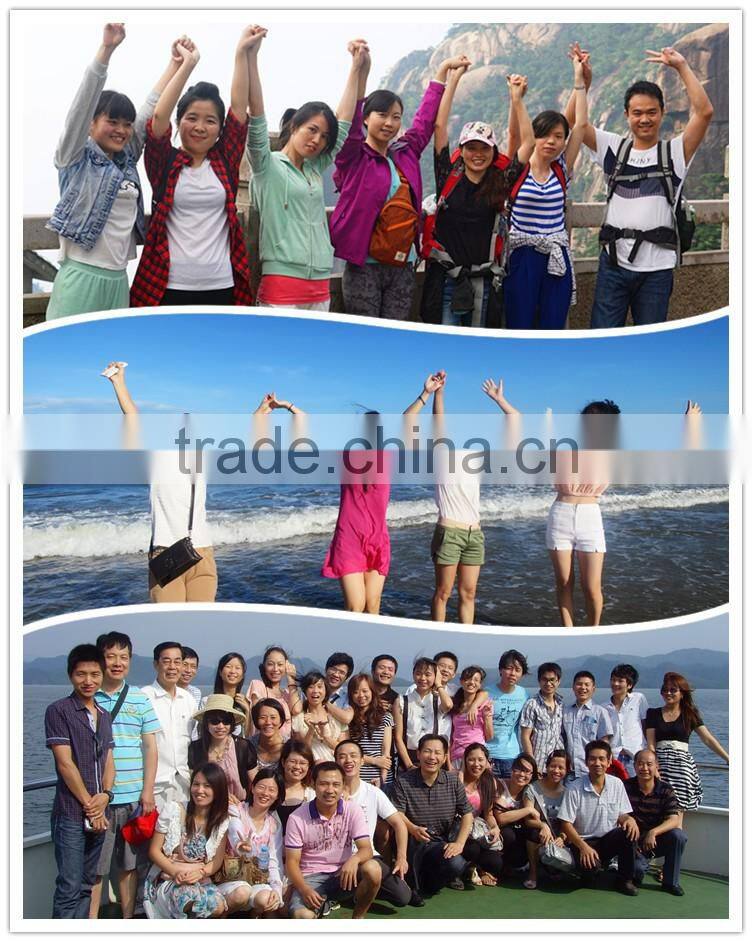 13HP LT390 mini 300cc 4 stroke engine