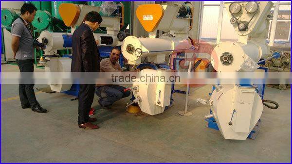 World popular TOP sale small wood pelletizer pellet mill