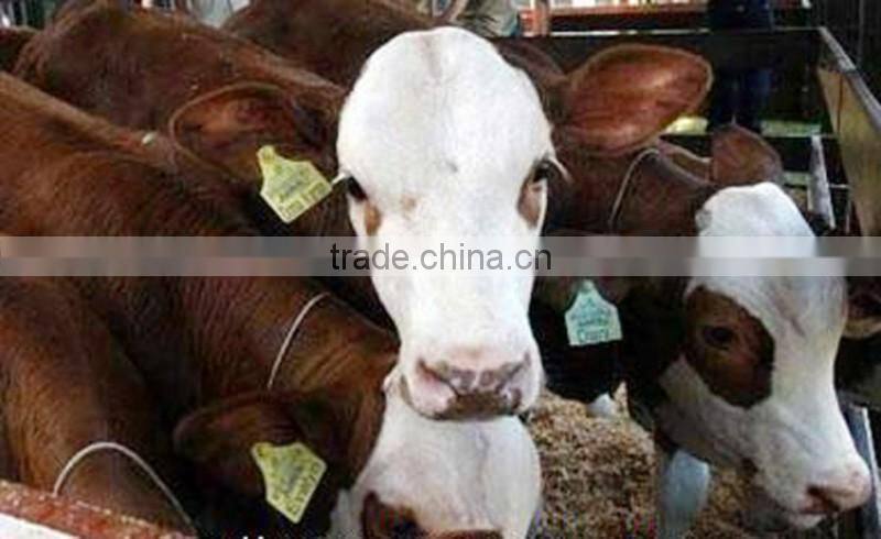 animal ear tag passive uhf rfid ear tag eco-friendly disposable TPU rfid tag for cows cattle