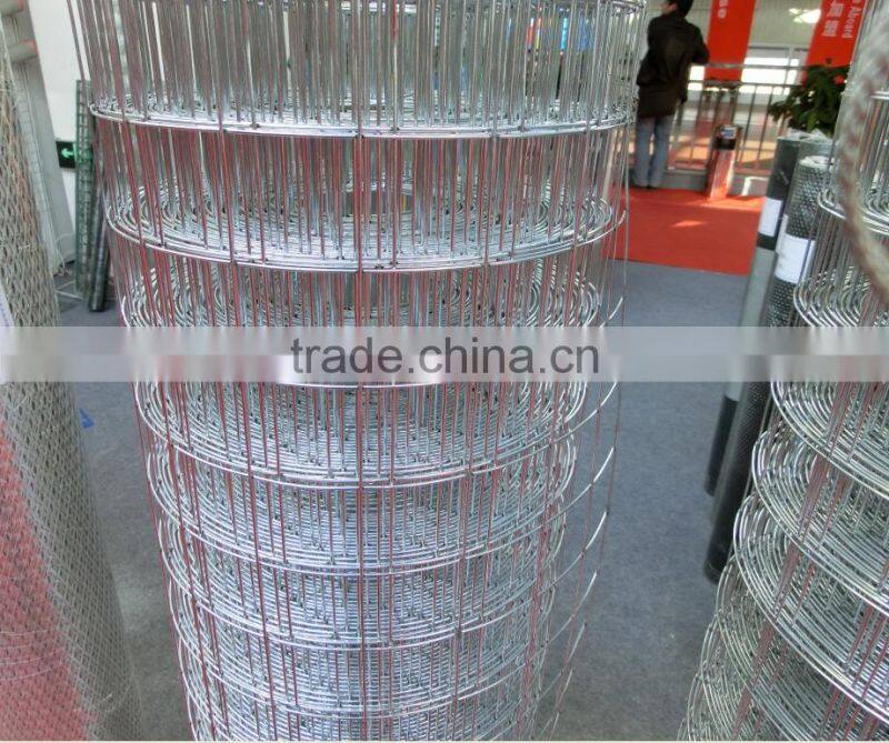 4X4cm hole sample free galvanized welded mesh