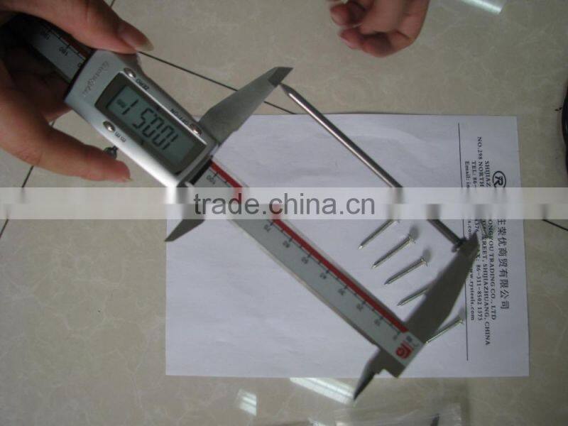 common iron nail for construction/common wire nails