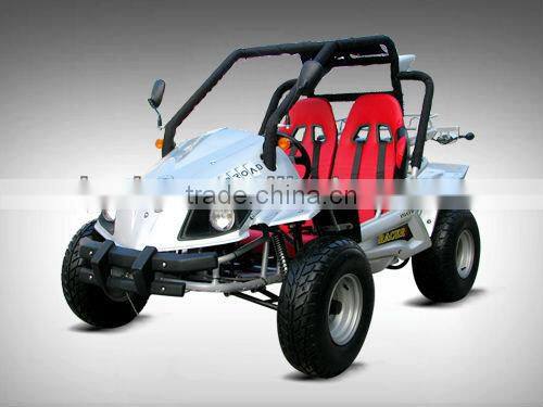 EEC 250cc CVT transmission go kart