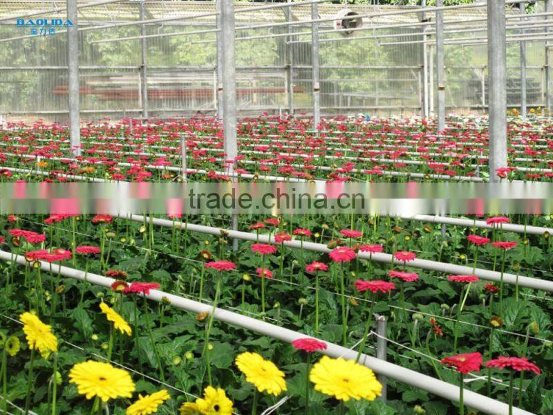 commercial greenhouse
