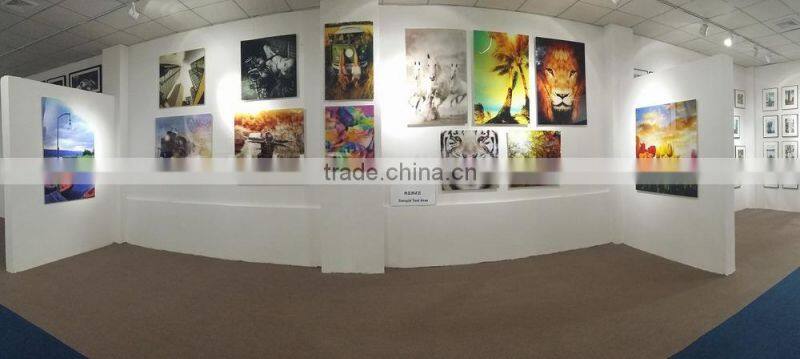 Horse Home Wall Decoration Oil Painting