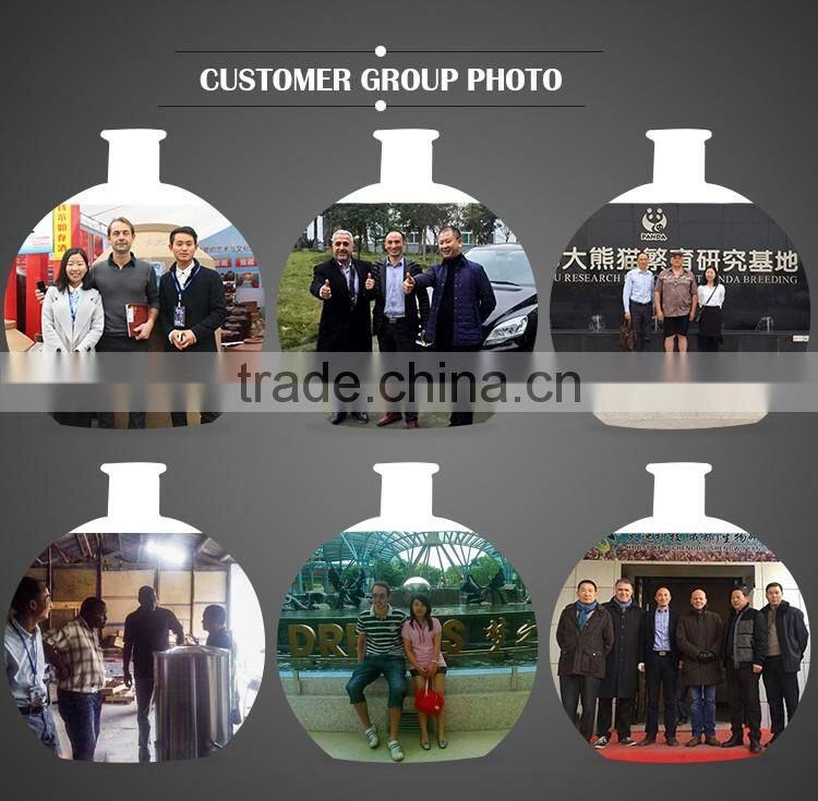 Dragon shape animal shaped glass wine bottle for Christmas gift decoration