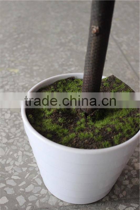 lighting bulb Christmas decoration indoor small LED maple bonsai