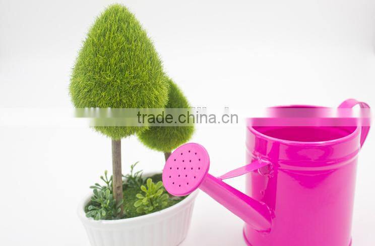 Hot sale metal garden watering pot