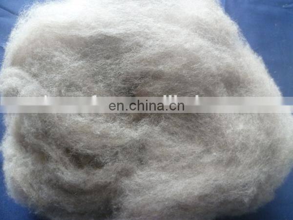 carded and dehaired cashmere fiber for India market