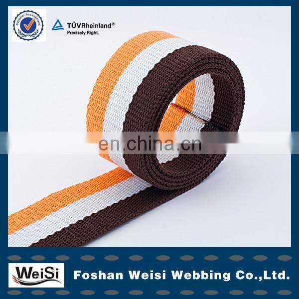High Quality Canvas Web Belt Material Custom Polyester Webbing