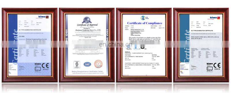 camping portable biogas stove with gas cylinder