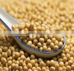 sesame oil production line sunflower oil production plant sunflower oil machine