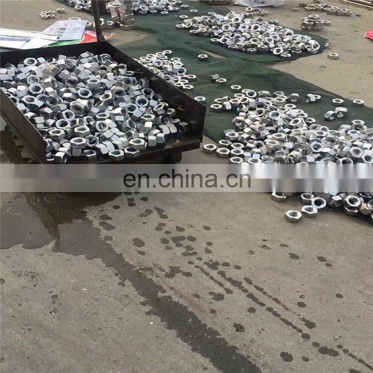 DIN 582 Eye Nut M20 SS304