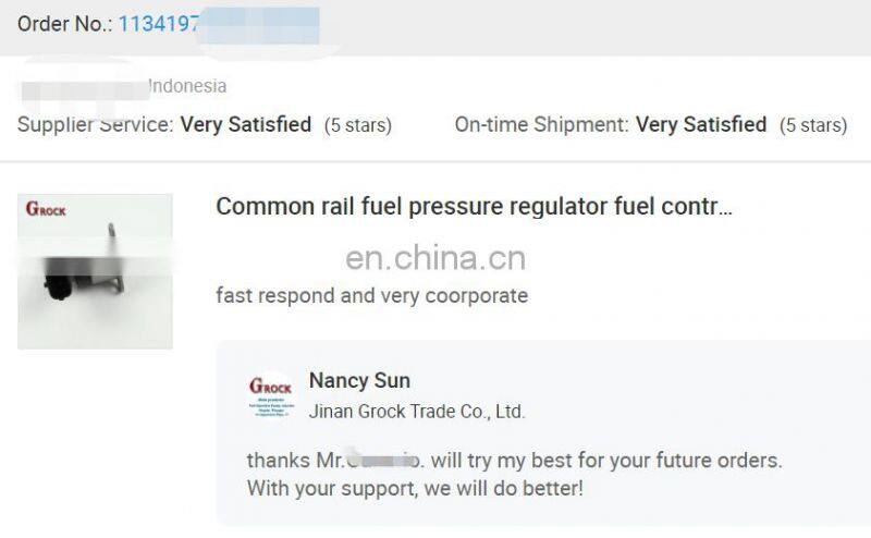 Euro II fuel pump oil pump 612600080799 612600080343 614080719 for WD615 WP10