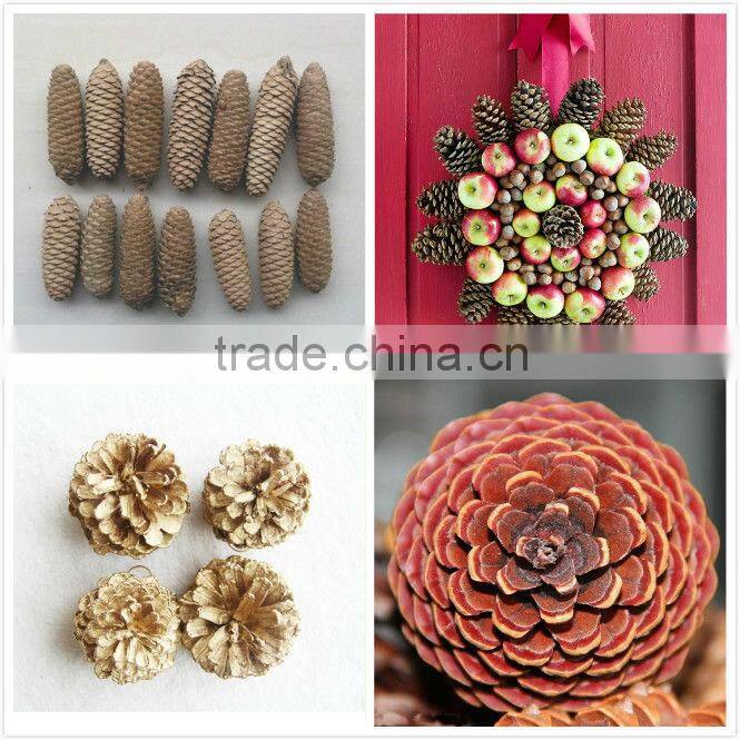 Self Adhesive PVC Gold Laser Film(All Sizes And Colors Can Meet)