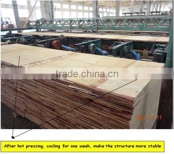 phenolic film faced plywood