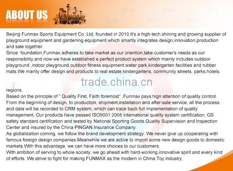 Push Chair--Disabled Fitness Equipment