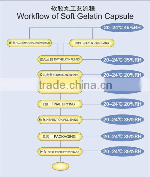 RJWJ-300C Softgel Encapsulation Machine