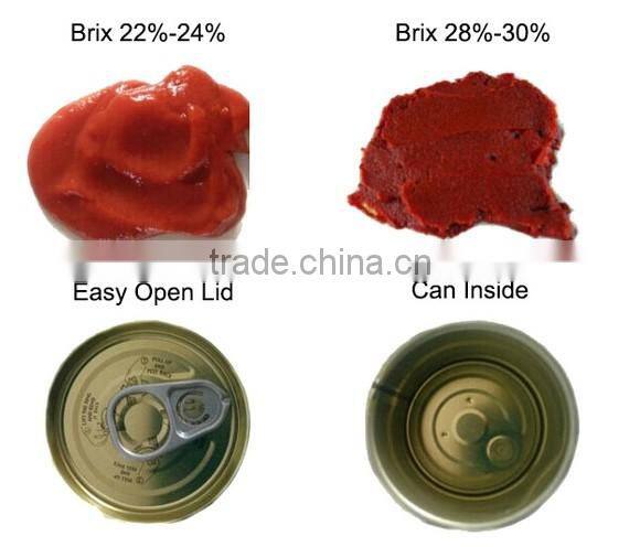 best price with 2200g tinned tomato paste,sweet ,high quality, red colour ,brix 28%-30%