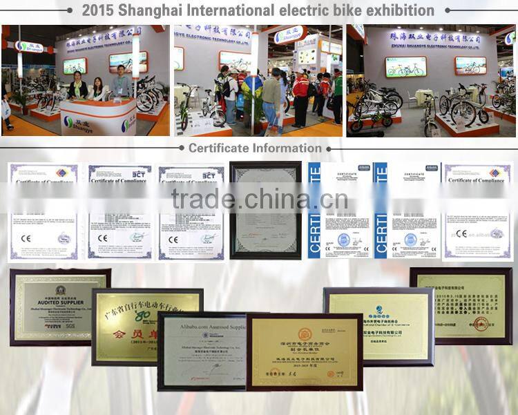 Free combination 350w electric bicycle conversion kit