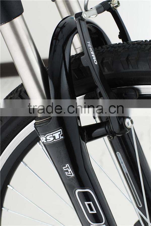 Mountain electric bike