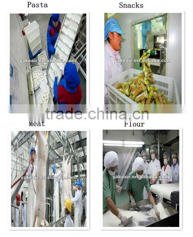 RY-1000M Industrial Food Desiccant Dehumidifier