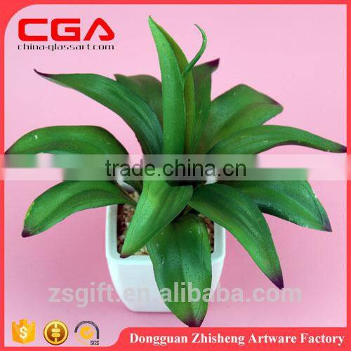 Artificial Artificial succulent plants tropical plants Plastic emulation succulent plant