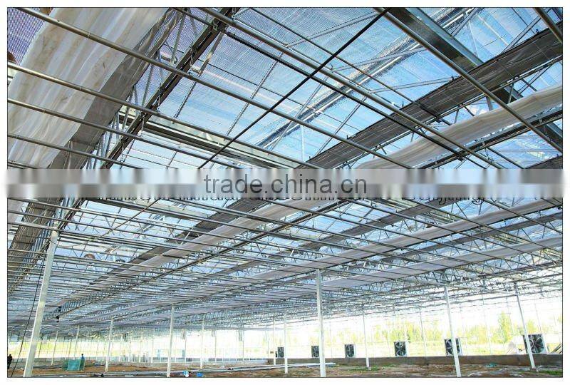 Large Span Glass Multi-span Greenhouse
