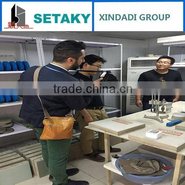 HOT SALE self-leveling compound additive early strength agent replacer of lithium carbonate(Li2CO3)