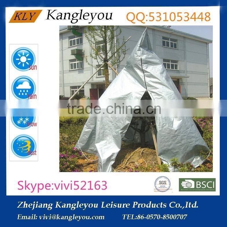 PE in grey christmas tree cover