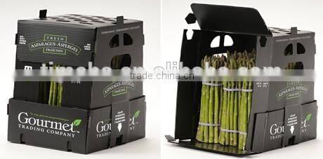 PP Protective Asparagus Packing Boxes